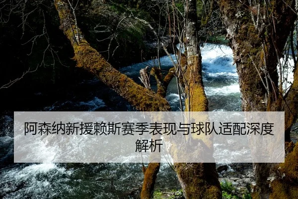 阿森纳新援赖斯赛季表现与球队适配深度解析